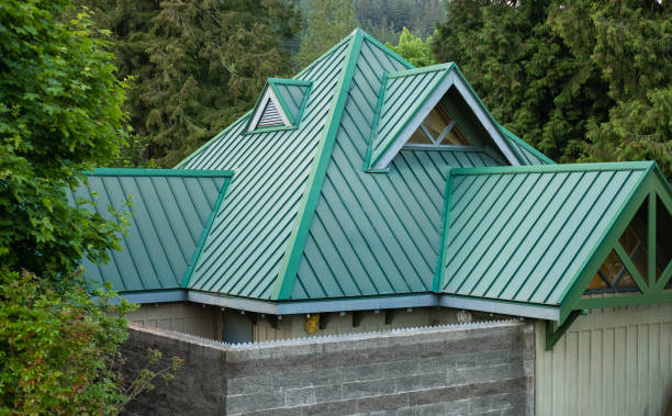 Best Roof Insulation Installation  in Freer, TX