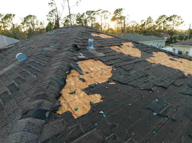 Fast & Reliable Emergency Roof Repairs in Freer, TX