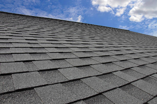 Best Gutter Installation and Repair  in Freer, TX